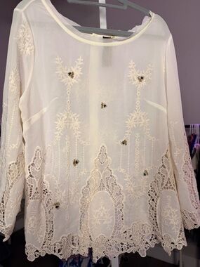 Aratta Cream Sheer Embroidered Lace Blouse